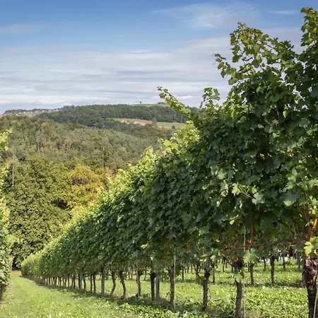 Alojamento de Turismo Selvagem Kitzecker-weingartenhaus Kitzeck im Sausal