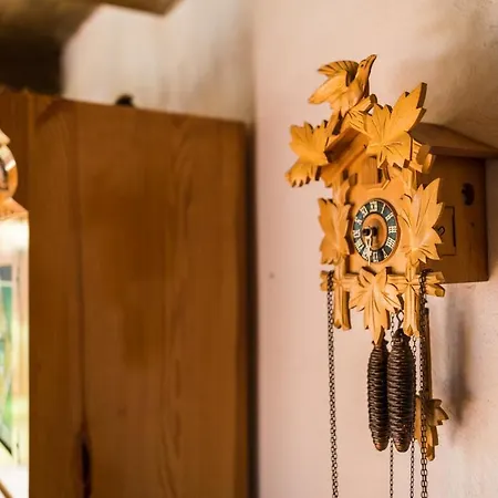 Alojamento de Turismo Selvagem Kitzecker-weingartenhaus