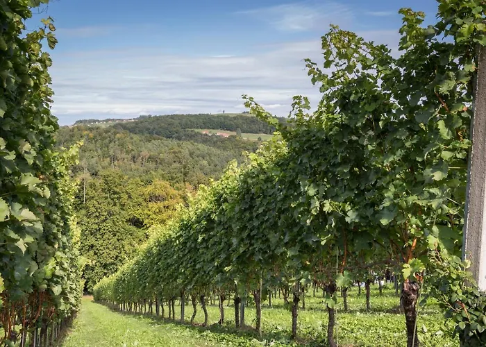 بيت خشبي Kitzecker-weingartenhaus كيتسك إيم زاوزال