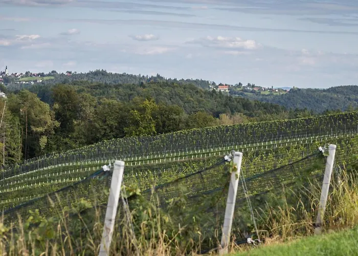 بيت خشبي Kitzecker-weingartenhaus